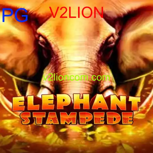 ElephantStampede
